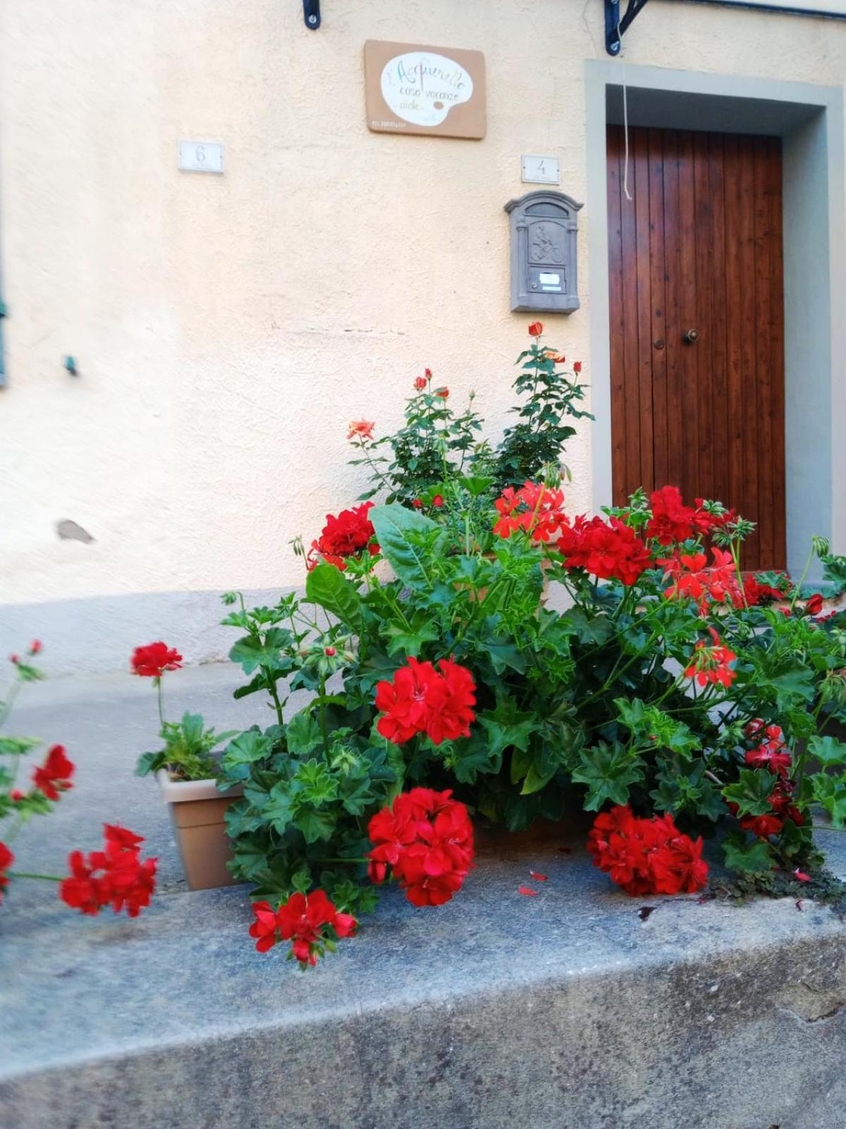 Casa Vacanze L'Acquerello Лари Экстерьер фото